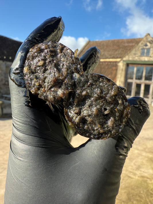 Charcoal SPG Hot Dogs